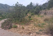 Terreno no urbanizable en venta en la España, Alzira, ref: TR407334 foto