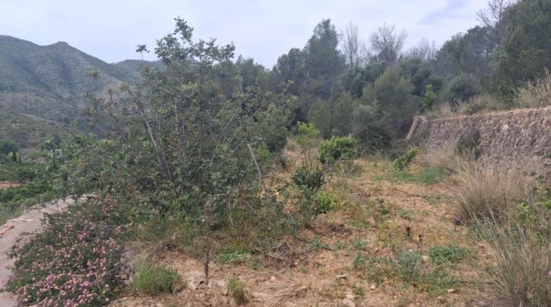 València - Alzira - 4517m2