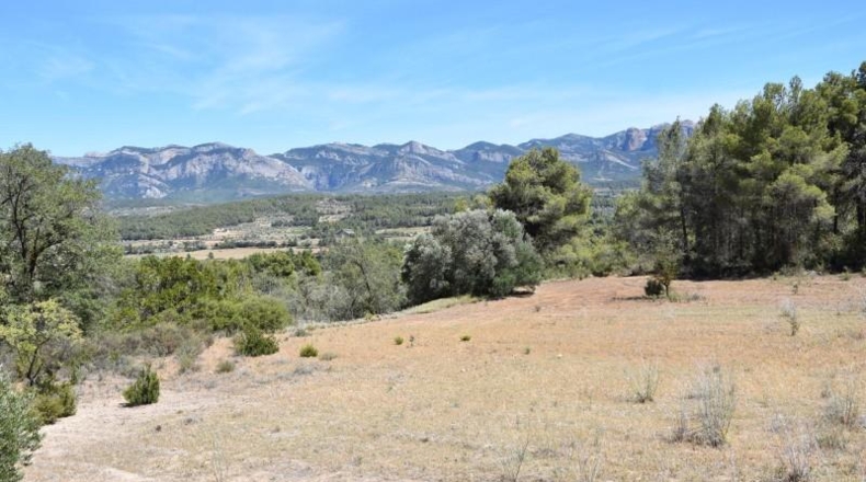 Teruel - Arens de Lledó - 7841m2