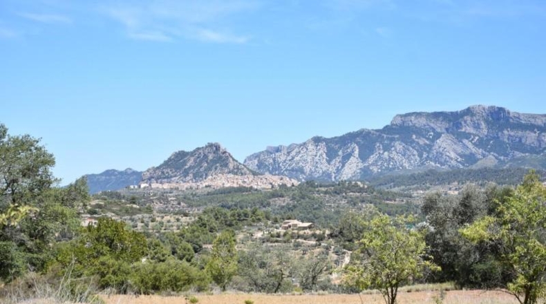 Teruel - Arens de Lledó - 7841m2
