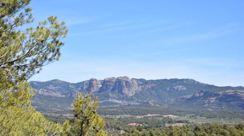 Teruel - Arens de Lledó - 7841m2