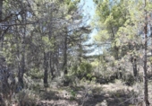 Terreno no urbanizable en venta en la España, Calaceite, ref: TR317405 foto