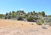 Terreno no urbanizable en venta en la España, Calaceite, ref: TR317405 foto