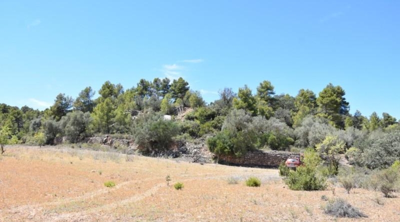 Teruel - Arens de Lledó - 7841m2