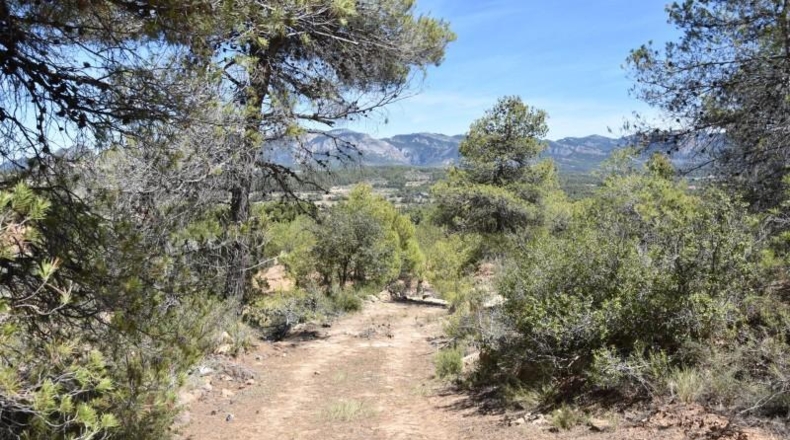 Teruel - Arens de Lledó - 7841m2