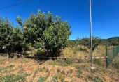 Suelo urbano en venta en la España, Arganza, ref: TR203212 foto