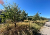 Suelo urbano en venta en la España, Arganza, ref: TR203212 foto
