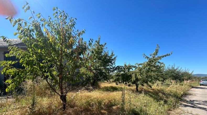 León - Arganza - 486m2