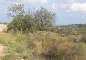 Parcela urbanizable en venta en la España, Benicarló, ref: TR157493 foto