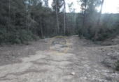 Terreno no urbanizable en venta en la España, L'Olleria, ref: TR228476 foto