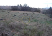 Terreno no urbanizable en venta en la España, L'Olleria, ref: TR228476 foto