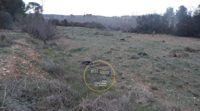 Valencia - l'Olleria - 14600m2