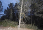 Terreno no urbanizable en venta en la España, L'Olleria, ref: TR228476 foto