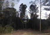 Terreno no urbanizable en venta en la España, L'Olleria, ref: TR228476 foto