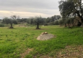Terreno no urbanizable en venta en la España, Zarza de Montánchez, ref: TR131627 foto