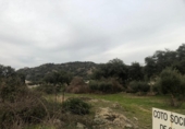 Terreno no urbanizable en venta en la España, Zarza de Montánchez, ref: TR131627 foto