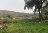 Terreno no urbanizable en venta en la España, Zarza de Montánchez, ref: TR131627 foto