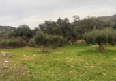 Terreno no urbanizable en venta en la España, Zarza de Montánchez, ref: TR131627 foto
