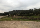 Terreno no urbanizable en venta en la España, Zarza de Montánchez, ref: TR131627 foto