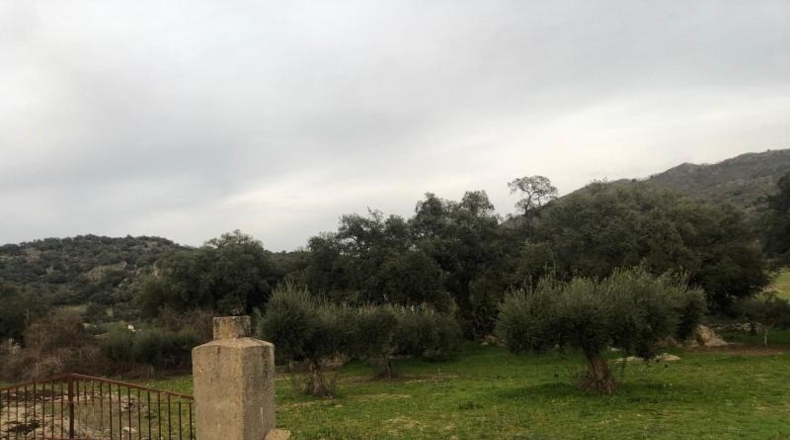 Caceres - Montánchez - 1m2
