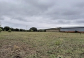 Parcela urbanizable en venta en la España, Botija, ref: TR396911 foto