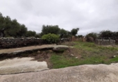 Terreno no urbanizable en venta en la España, Botija, ref: TR125269 foto