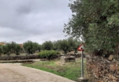 Terreno no urbanizable en venta en la España, Botija, ref: TR125269 foto