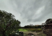 Terreno no urbanizable en venta en la España, Botija, ref: TR125269 foto