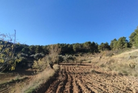 Foto 10