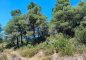 Terreno no urbanizable en venta en la España, Valderrobres, ref: TR293606 foto
