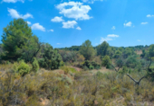 Terreno no urbanizable en venta en la España, Valderrobres, ref: TR293606 foto