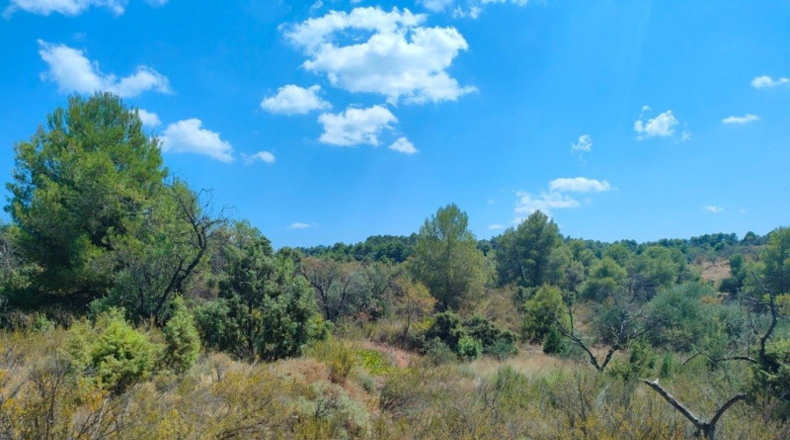Теруэль - Vall-de-roures - 18600m2