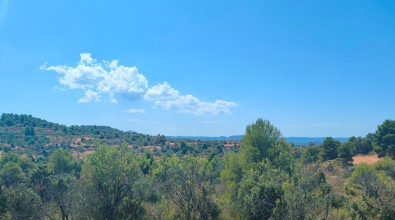 Теруэль - Vall-de-roures - 18600m2