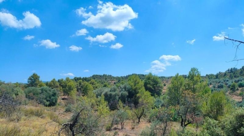 Теруэль - Vall-de-roures - 18600m2