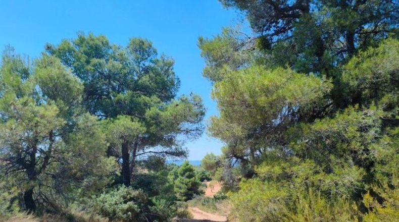 Теруэль - Vall-de-roures - 18600m2