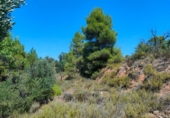Terreno no urbanizable en venta en la España, Valderrobres, ref: TR293606 foto