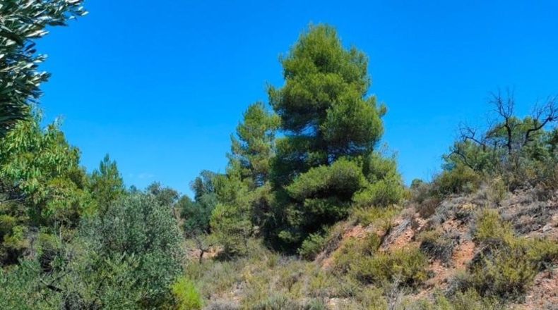 Теруэль - Vall-de-roures - 18600m2