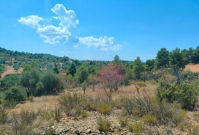 Foto 9