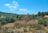 Terreno no urbanizable en venta en la España, Valderrobres, ref: TR293606 foto