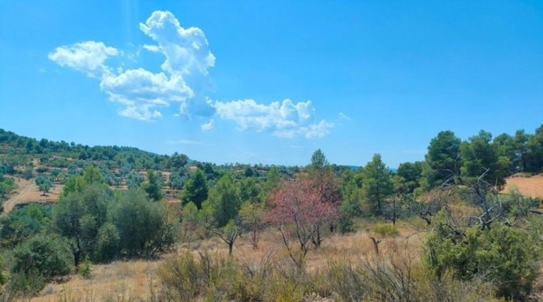 Теруэль - Vall-de-roures - 18600m2