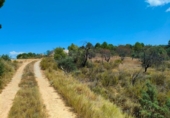 Terreno no urbanizable en venta en la España, Valderrobres, ref: TR293606 foto