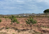 Terreno no urbanizable en venta en la España, Puçol, ref: TR118985 foto