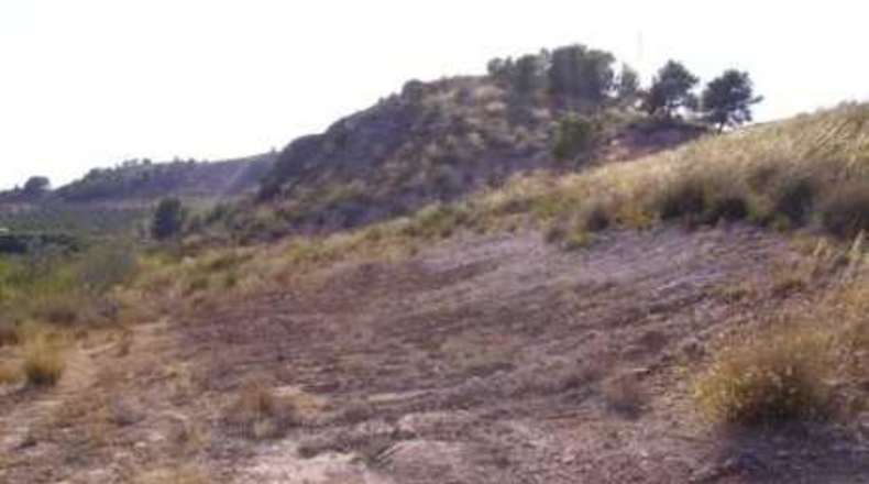 Múrcia - Calasparra - 5000m2