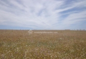 Land suitable for development for sale on España, Sierra de Fuentes, ref: TR135911 photo