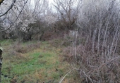 Terreno no urbanizable en venta en la España, Ponferrada, ref: TR117455 foto