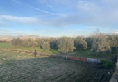 Chalet independiente con terreno en venta en la España, Belicena, ref: TR310565 foto