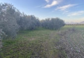 Chalet independiente con terreno en venta en la España, Belicena, ref: TR310565 foto