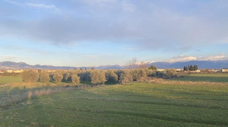 Granada - Белисена - 1585m2