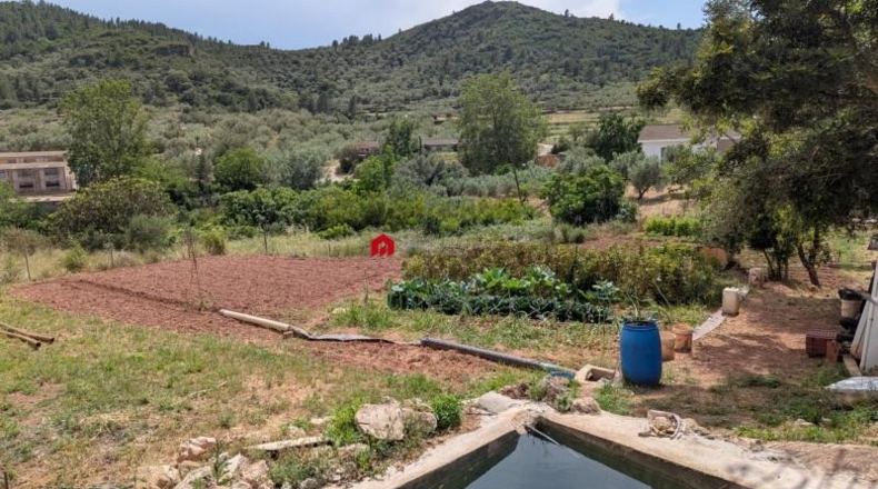 Tarragona - Альфара де Карлес - 714m2