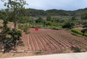 Foto 11